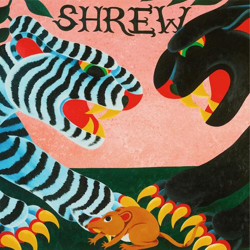 shrew - Shrew (2025)
