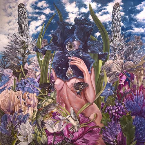 Calyces - Fleshy Waves of Probability (2025) 320|FLAC