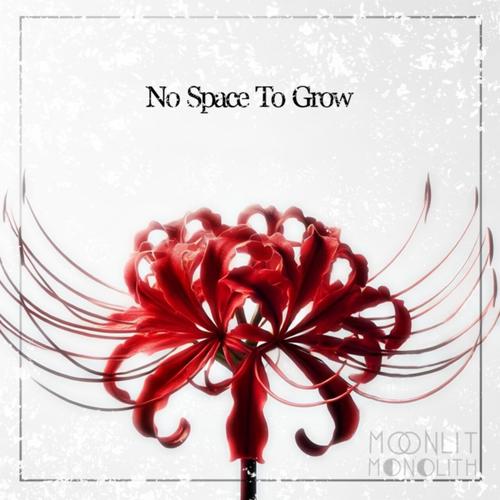 Moonlit Monolith - No Space To Grow (2025)