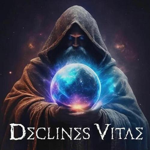 Declines Vitae - Declines Vitae (2024)