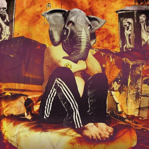 Allegra Orchestrina Hellephant - Behemoth (2025)