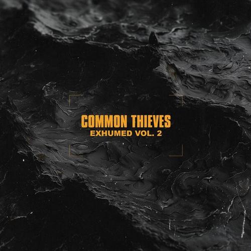 Common Thieves - Exhumed, Vol. 2 (2025)