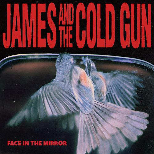 James and the Cold Gun - Face in the Mirror (2025) 320|FLAC