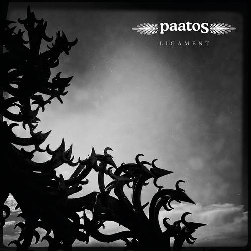 Paatos - Ligament (2025) 320|FLAC
