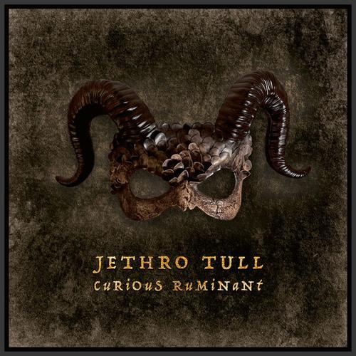 Jethro Tull - Curious Ruminant (Limited Edition) [2CD+BD] (2025)