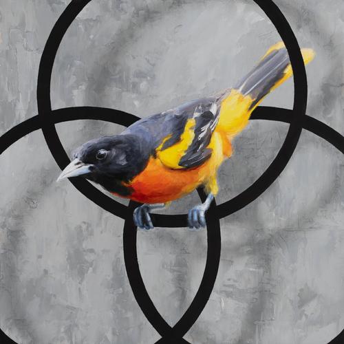 stef.in - Icterus II (2025) 320|FLAC