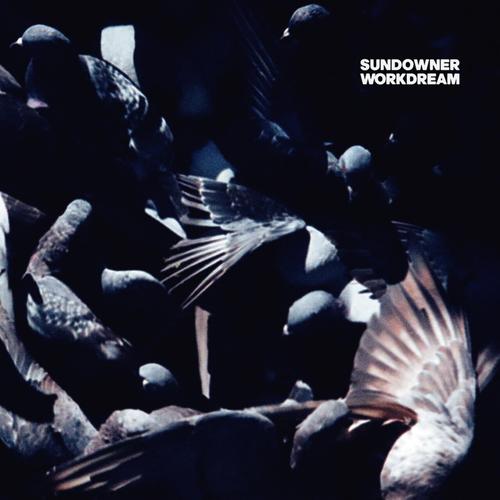 Sundowner - Work Dream (2025)