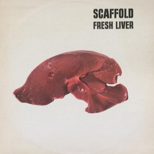 The Scaffold - Fresh Liver (Expanded Edition) (2025) 320|FLAC