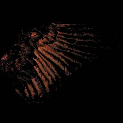 Fryktelig Stoy - Incandescent (2025) 320|FLAC