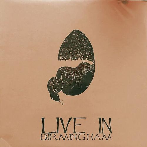 Natural Child - Live in Birmingham 5/17/2013 (2025)