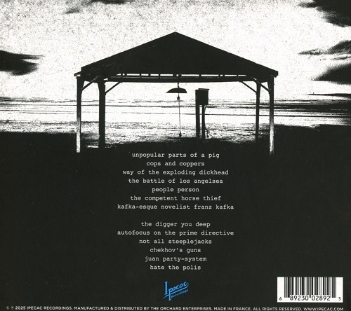 mclusky - the world is still here and so are we (2025) 320|FLAC|CD