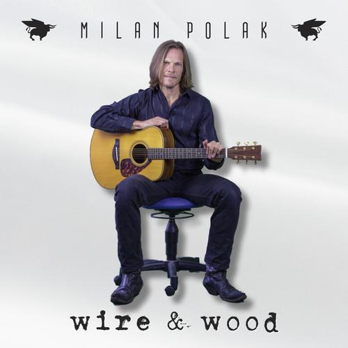 Milan Polak - Wire & Wood (Acoustic) (2025)