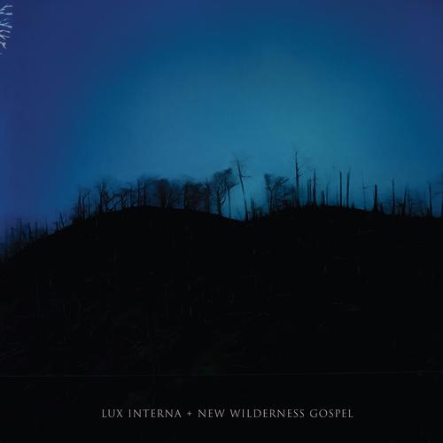 Lux Interna - New Wilderness Gospel (2025) 320|FLAC