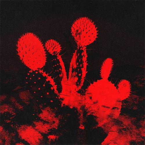 Beach Weather - Melt'd (deluxe) (2025)