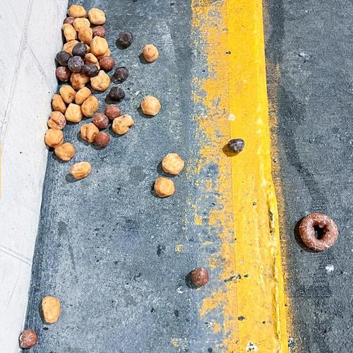 Thought Partner - When Your Money Fails (2025)