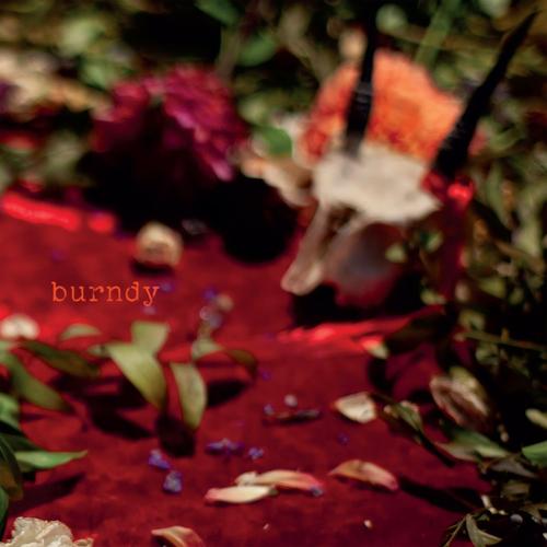 burndy - burndy (2025)
