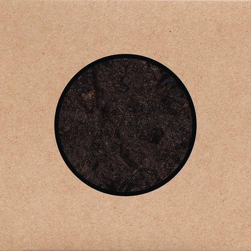 Swans - Birthing (2025) CD-Rip