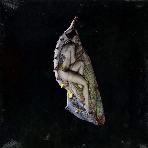 Shuggah - Her Chrysalis (2025) 320|FLAC