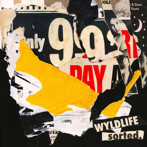 Wyldlife - sorted. (2025)
