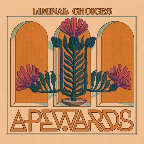 Apewards - Liminal Choices (2025) 320|FLAC