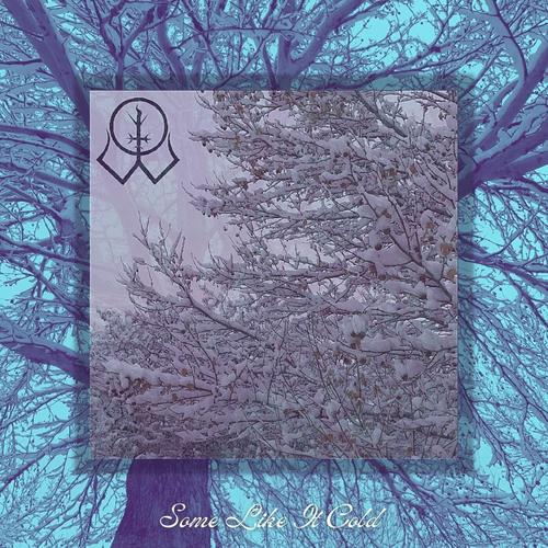 Oblivion Winters - Some Like It Cold (2025)