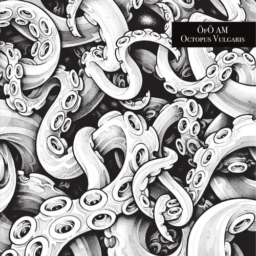 OFO Am - Octopus Vulgaris (2025)