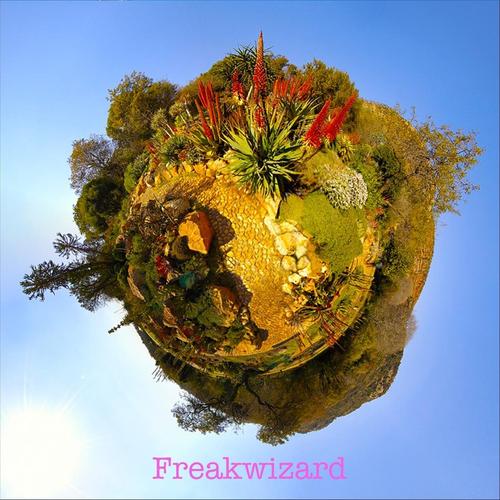 Freakwizard - We Want to Save the World and Make It for Everyone [ep](2024)