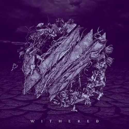 Absent Colors - Withered [deluxe edition] (2025) 320|FLAC