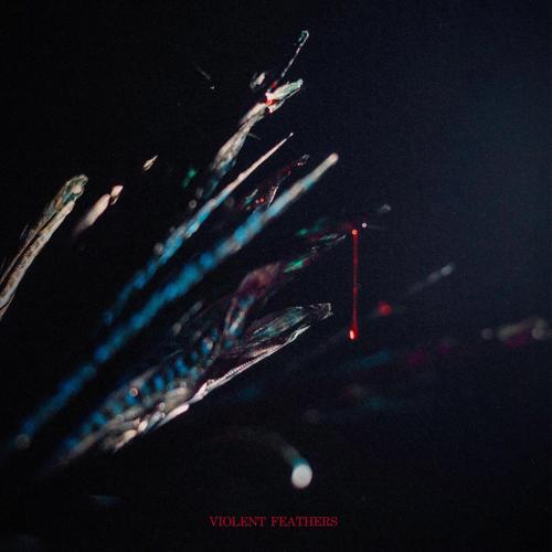 Spiralist - Violent Feathers (2025)