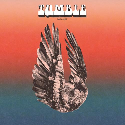 Tumble - Lost In Light (2025)