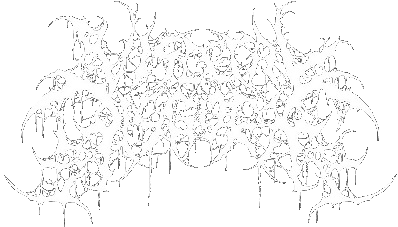 Visceral Disgorge - Slithеring Еvisсеrаtiоn (2019)