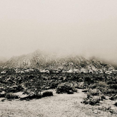 Mizmor - Mnemonic: Ambient Mosaic (2025)