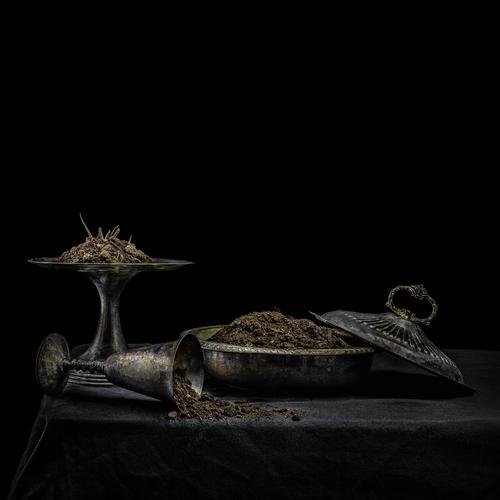 Holy Scum - All We Have Is Never (2025)