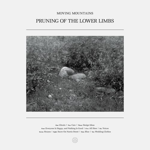 Moving Mountains - Pruning of the Lower Limbs (2025) 320|FLAC