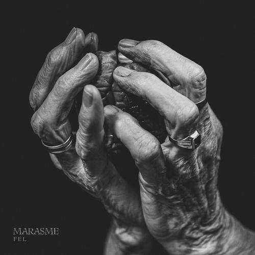 Marasme - Fel (2025)