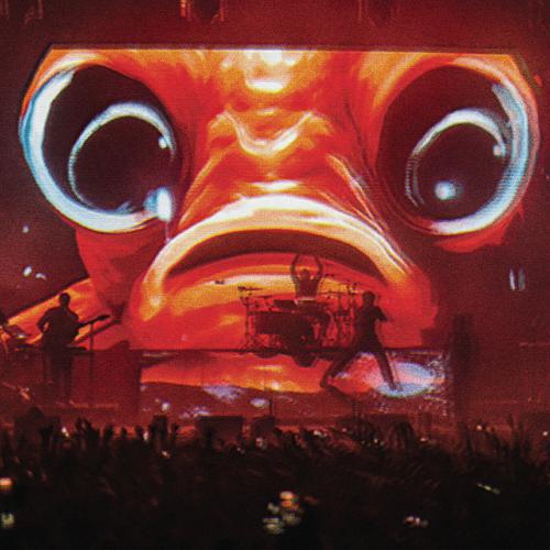 Enter Shikari - WEMBLEY. LONDON. 17th FEBRUARY 2024 (2025) 320|FLAC + Official Video