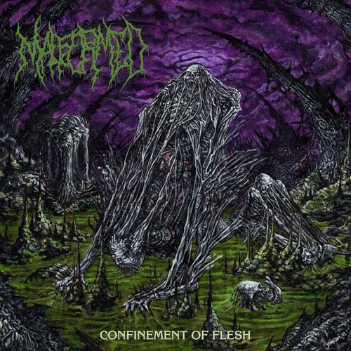 Malformed - Confinement Of Flesh (2025) 320|FLAC