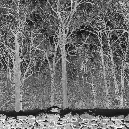 Pile - Sunshine and Balance Beams (2025) 320|FLAC