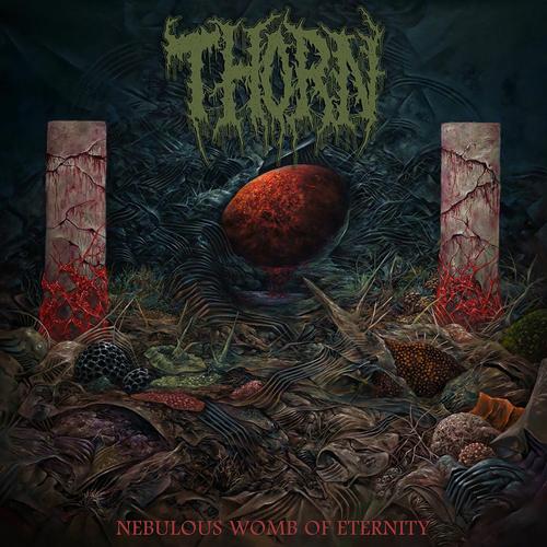 Thorn - Nebulous Womb of Eternity (2025) 320|FLAC