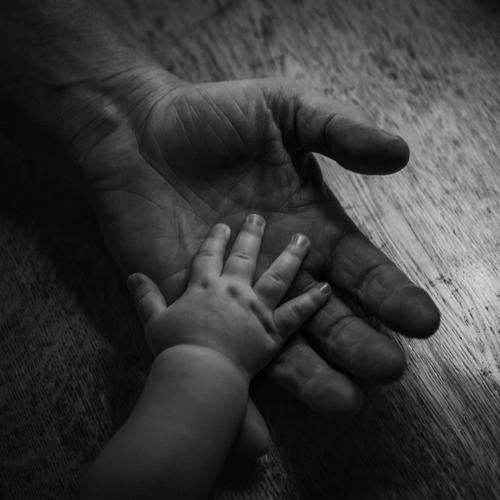 No Apologies - Life (2025)