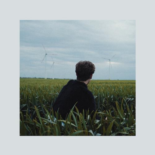 Hotel Rimini - Gefährdete Arten (2025)