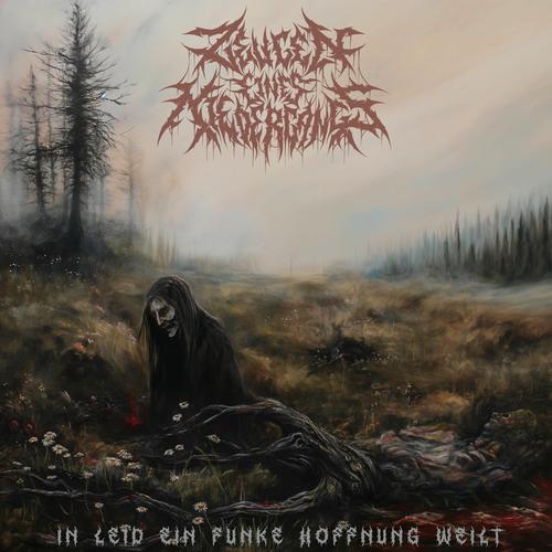 Zeugen eines Niedergangs - In Leid ein Funke Hoffnung weilt (2025)