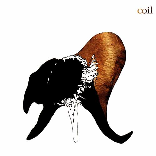 Coil - Black Antlers [3CD] (2025) 320|FLAC