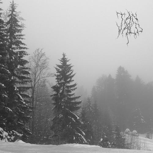 Tanvald - Nemofilista (2025)