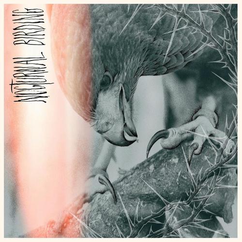 Author & Punisher - Nocturnal Birding (2025) 320|FLAC