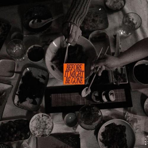 The Vices - Before It Might Be Gone [deluxe edition] (2025) 320|FLAC