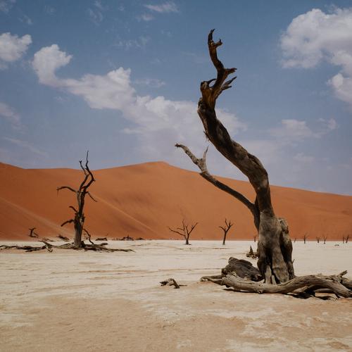 NYOS - Growl (2025) 320|FLAC