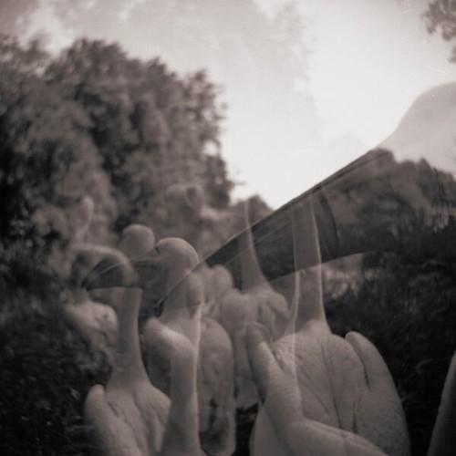 Ian - Come on Everybody, Let's Do Nothing! (2025)