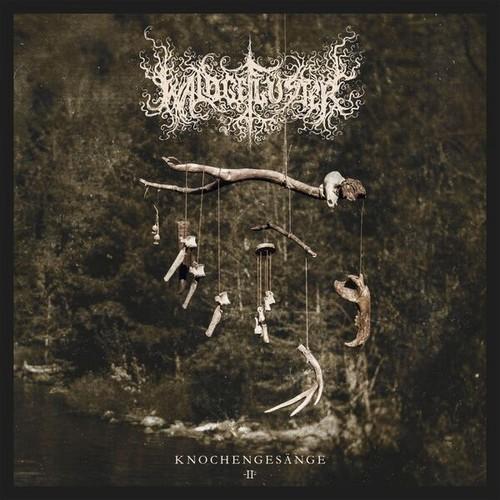 Waldgeflüster - Knochengesänge II (2025) 320|FLAC