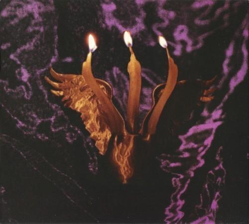 Shmulikraut - Guts Voyage (2025) 320|FLAC, CD Scans